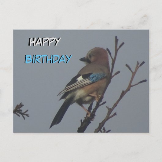 Cute Jay in Tree Happy Birthday Briefkaart (Voorkant)