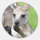 Cute joey kangaroo ronde sticker (Voorkant)