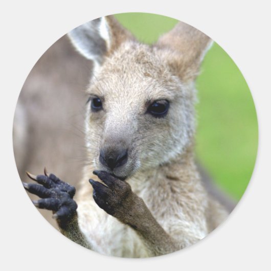 Cute joey kangaroo ronde sticker (Voorkant)