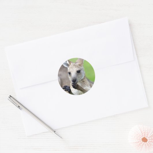 Cute joey kangaroo ronde sticker (Envelop)