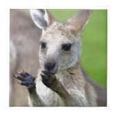 Cute joey kangaroo tegeltje (Voorkant)
