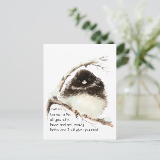 Cute Junco Bird, Scripture, Matt 11:28, Rest Briefkaart (Staand voorkant)