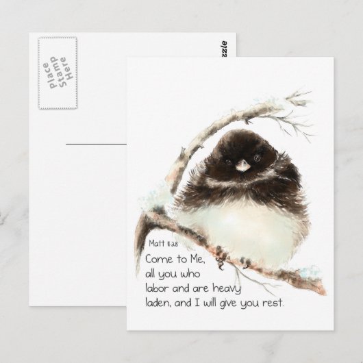 Cute Junco Bird, Scripture, Matt 11:28, Rest Briefkaart (Voorkant / Achterkant)