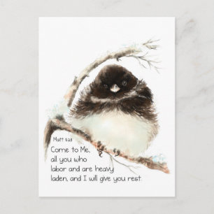 Cute Junco Bird, Scripture, Matt 11:28, Rest Briefkaart