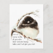 Cute Junco Bird, Scripture, Matt 11:28, Rest Briefkaart (Voorkant)