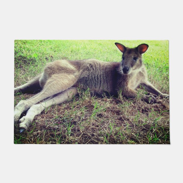 Cute Kangaroo Deurmat (Voorkant)
