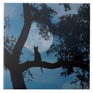 Cute Kat and Moon Art Tegel Tegeltje