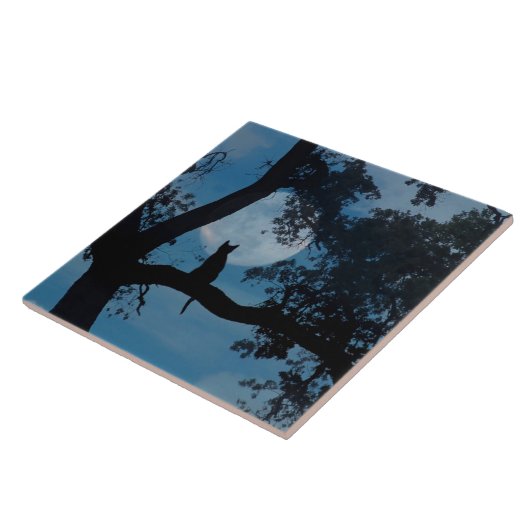 Cute Kat and Moon Art Tegel Tegeltje (Zijkant)