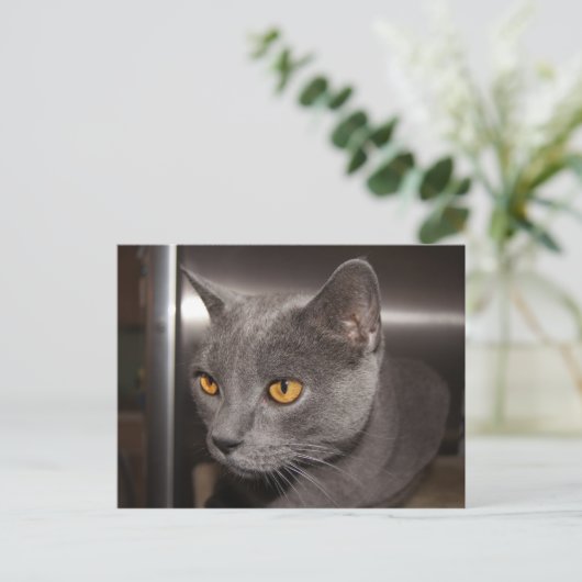 Cute Kat Briefkaart (Staand voorkant)