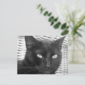 Cute Kat - briefkaart (Staand voorkant)