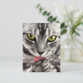 Cute Kat Briefkaart (Staand voorkant)