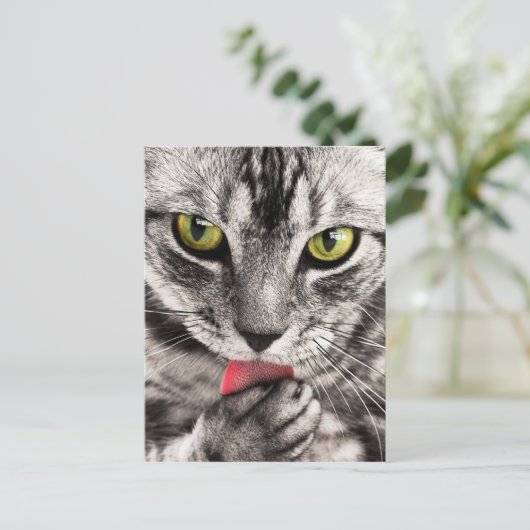 Cute Kat Briefkaart (Staand voorkant)