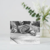 Cute Kat Briefkaart (Staand voorkant)