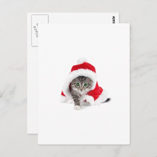 Cute Kat! Briefkaart (Voorkant / Achterkant)