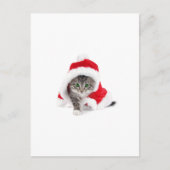 Cute Kat! Briefkaart (Voorkant)