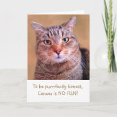 Cute Kat Cancer Support Kaart (Voorkant)