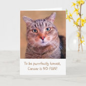 Cute Kat Cancer Support Kaart (Gele Bloem)