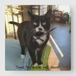 Cute Kat Clock Vierkante Klok