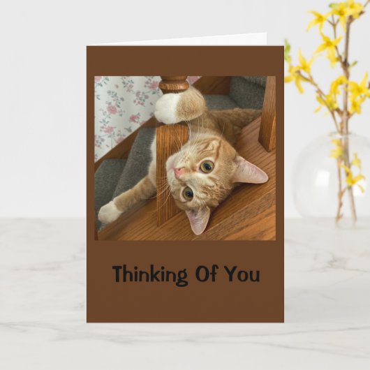 Cute Kat denking van jou Kaart (Gele Bloem)