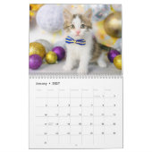 Cute Kat Foto Het Is Een Kat Leven 2026 Kalender (Jan 2027)