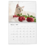 Cute Kat Foto Het Is Een Kat Leven 2026 Kalender (Feb 2027)