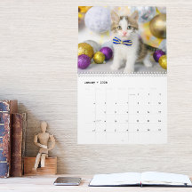Cute Kat Foto Het Is Een Kat Leven 2026