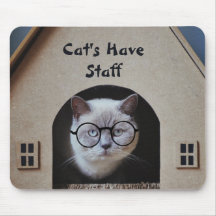 Cute Kat Foto Katten Hebben Personeel Citaat Grapp