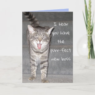 Cute Kat Gelukkig Pensioen Kaart