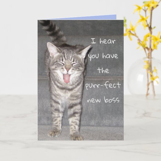 Cute Kat Gelukskaart Met Pensioen Kaart (Gele Bloem)