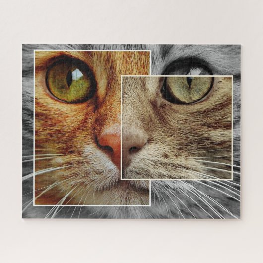 Cute Kat Gezicht Collage Puzzel (Horizontaal)