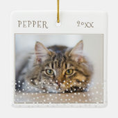 Cute Kat Huisdier 2 Foto's Ster Patroon Kerstmis Keramisch Ornament (Achterkant)