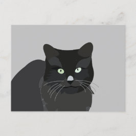 Cute Kat Huisdier Dier Briefkaart