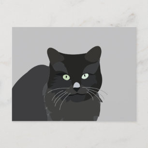 Cute Kat Huisdier Dier Briefkaart