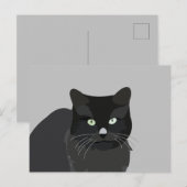 Cute Kat Huisdier Dier Briefkaart (Voorkant / Achterkant)