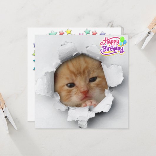 Cute kat kaart (Voorkant / Achterkant in situ)