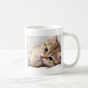 CUTE KAT KOFFIEMOK