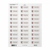 Cute Kat met Kerstmuts Kerst Retouradres Etiket (Full Sheet)