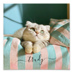 Cute Kat Naam 10x10 Foto Afdruk