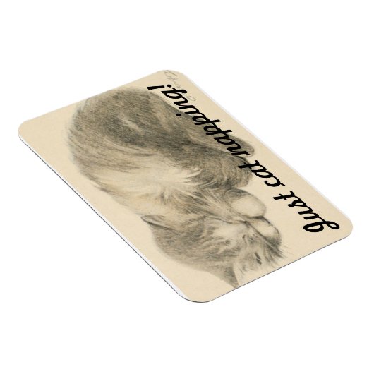 Cute Kat Napping Magnet Magneet (Rechterzijde)