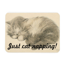 Cute Kat Napping Magnet Magneet