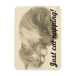 Cute Kat Napping Magnet Magneet