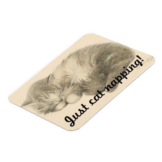 Cute Kat Napping Magnet Magneet (Linkerzijde)