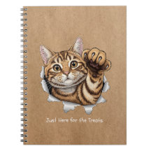 Cute Kat Notities - Spiraal Foto Notitieboek