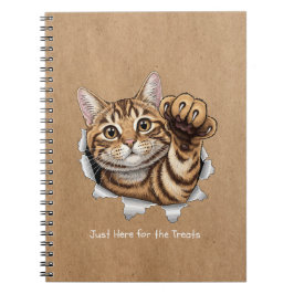 Cute Kat Notities - Spiraal Foto Notitieboek