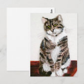 Cute Kat Pet Portrait Tabblad Cat Briefkaart (Voorkant / Achterkant)