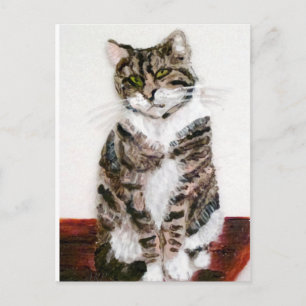 Cute Kat Pet Portrait Tabblad Cat Briefkaart