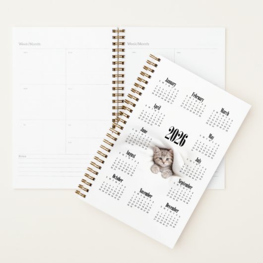 Cute kat planner (Display)