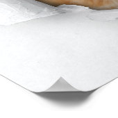 Cute kat poster (Hoek)