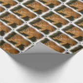 Cute Kat Wrapping Paper Cadeaupapier (Hoek)