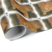 Cute Kat Wrapping Paper Cadeaupapier (Rol Hoek)